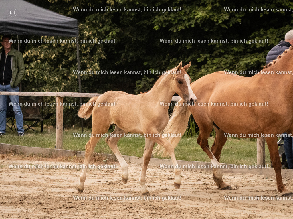 A10I3402 15.56.14 | photographylinaismer - Realisiert mit Pictrs.com