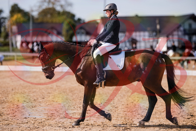 2026_10_03_Siefer-Hof_130212_Z81_55457686 | Professionelle Reitsport-, Turnier- und Eventfotografie von Robert Broda. Galerien mit ausgewählten und bearbeiteten Bildern direkt online ansehen und bestellen.