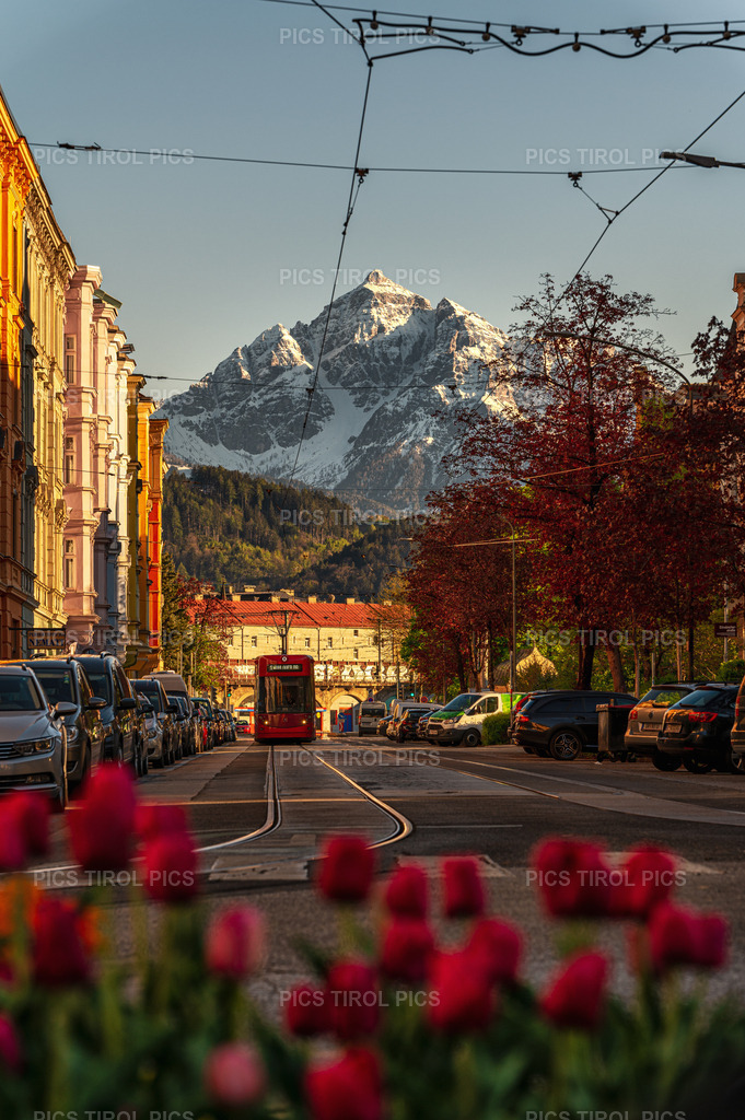 DSC_4410-Bearbeitet | Tirolpics