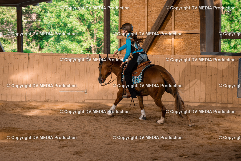 NE101153 | dv-media-shop - Realisiert mit Pictrs.com