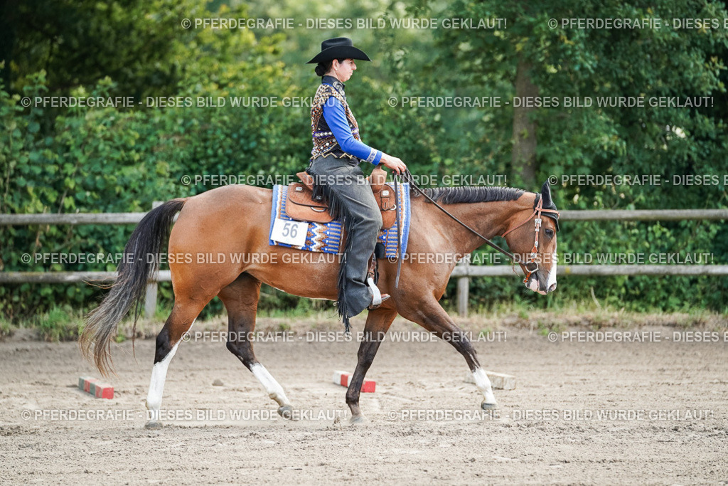 DSC06258 | Pferdegrafie