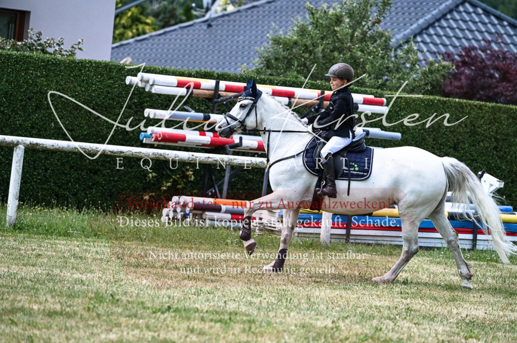 DSC_9610 | Pferde- und Turnierfotografie in Westsachsen. Pferdeportraits, Auftragszeichnungen und intuitive Kunst.