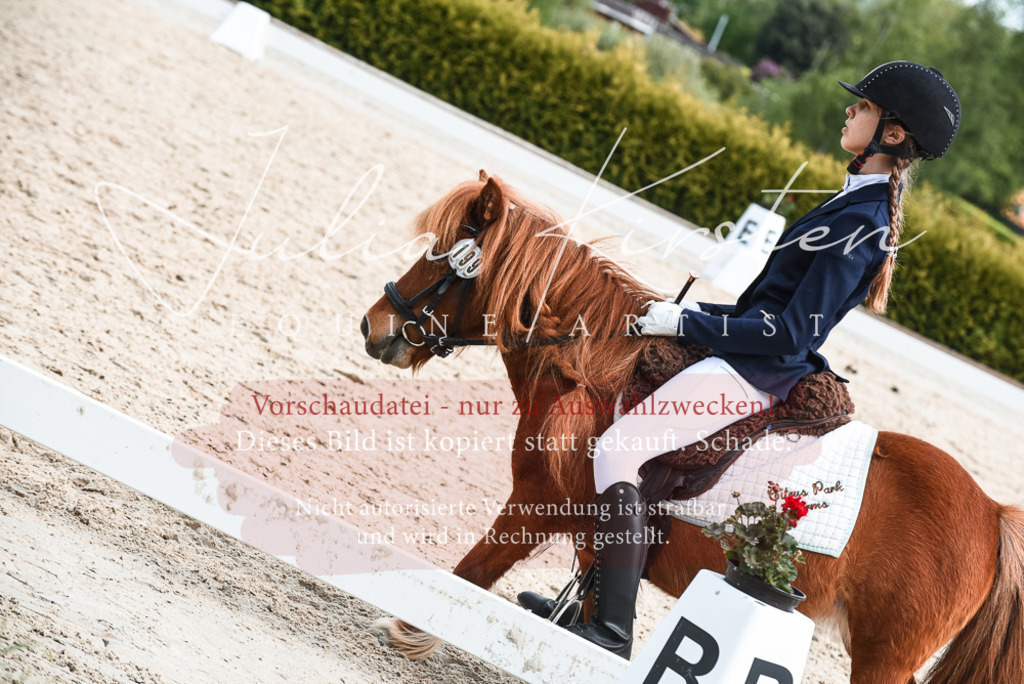 20230518_JK-Röhrsdorf-11-0915 | Pferde- und Turnierfotografie in Westsachsen. Pferdeportraits, Auftragszeichnungen und intuitive Kunst.