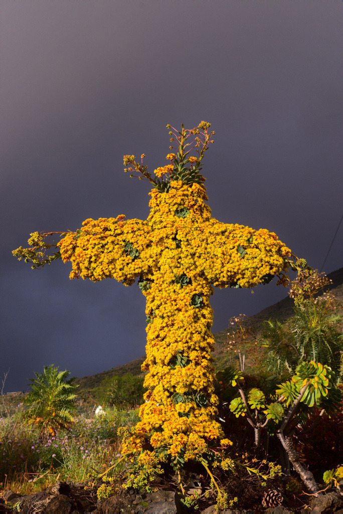 Teneriffa 2025 | Seelentiefe - Bilder die bewegen - Realisiert mit Pictrs.com