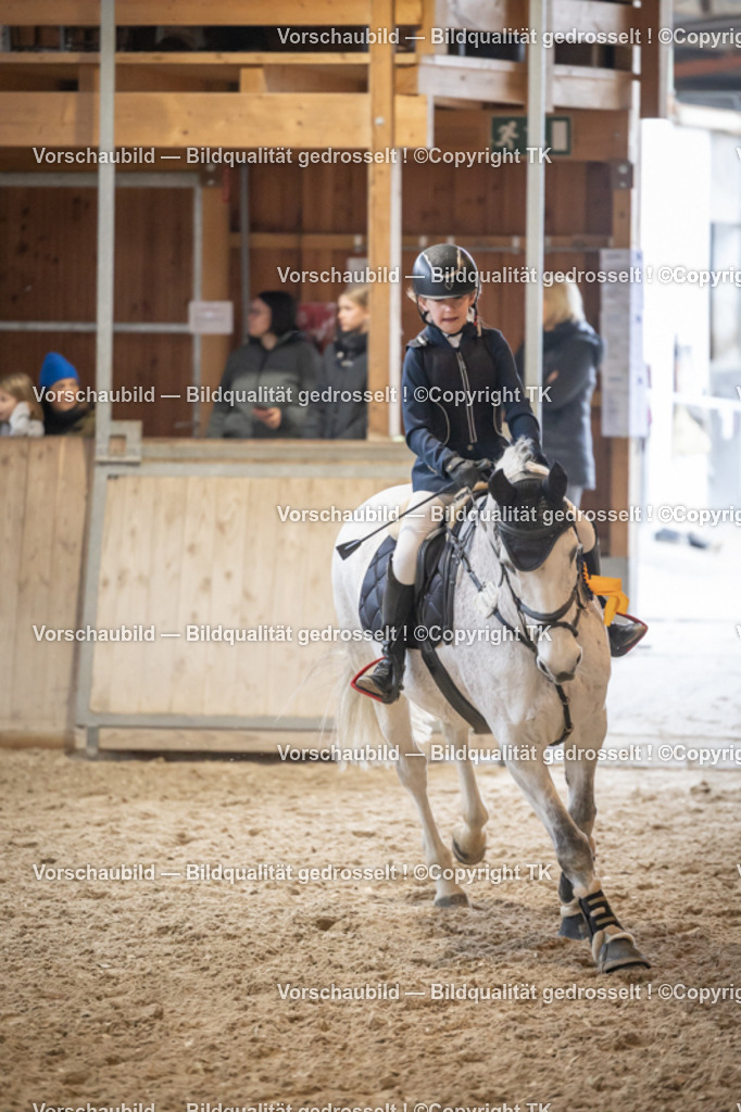 _D5A9841 | Emotionale Pferde- & People-Fotografie rund um Heidelberg, Leimen & Umgebung. Natürliche Fotos von Pferd, Mensch & Familie. Jetzt Termin sichern!