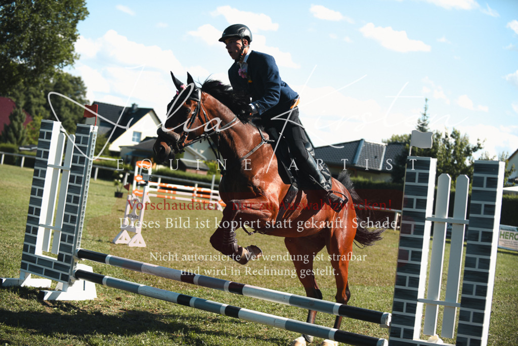 DSC_7697 | Pferde- und Turnierfotografie in Westsachsen. Pferdeportraits, Auftragszeichnungen und intuitive Kunst.