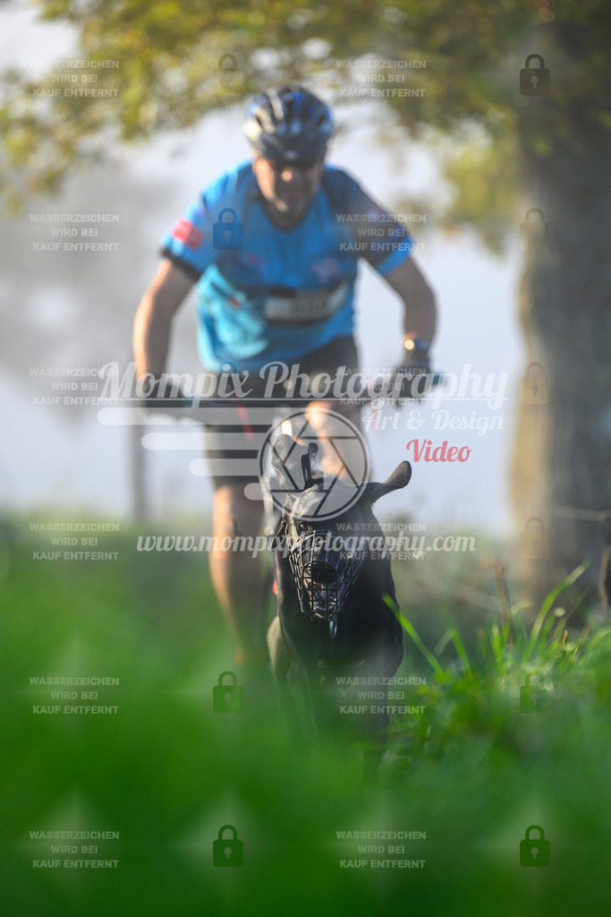 MompixPhotography_20TSB_E3_Bike-58 | PayLife