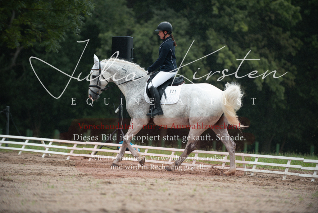 DSC_9697 | Pferde- und Turnierfotografie in Westsachsen. Pferdeportraits, Auftragszeichnungen und intuitive Kunst.