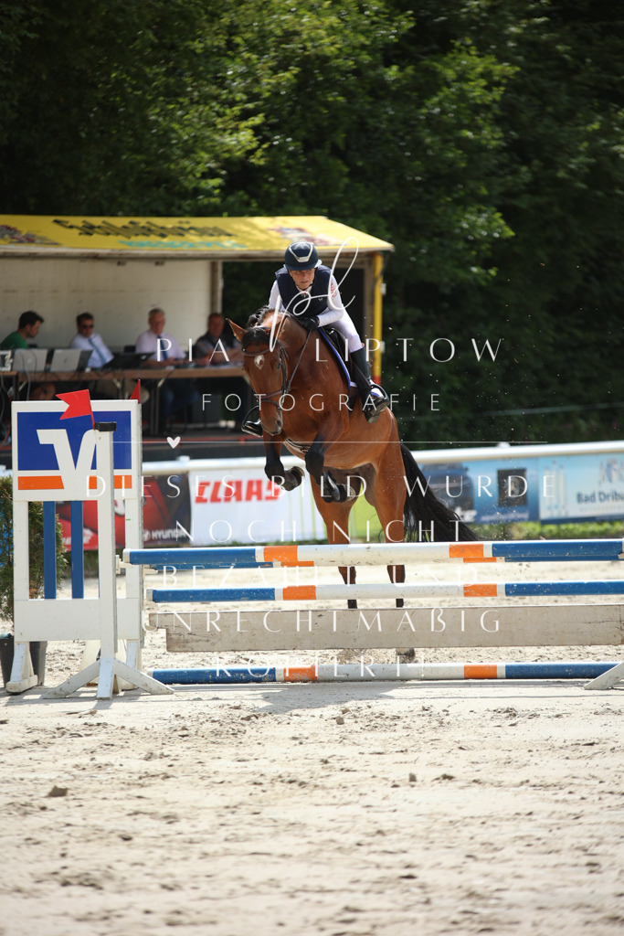 IMGS0353 | pl-fotografie