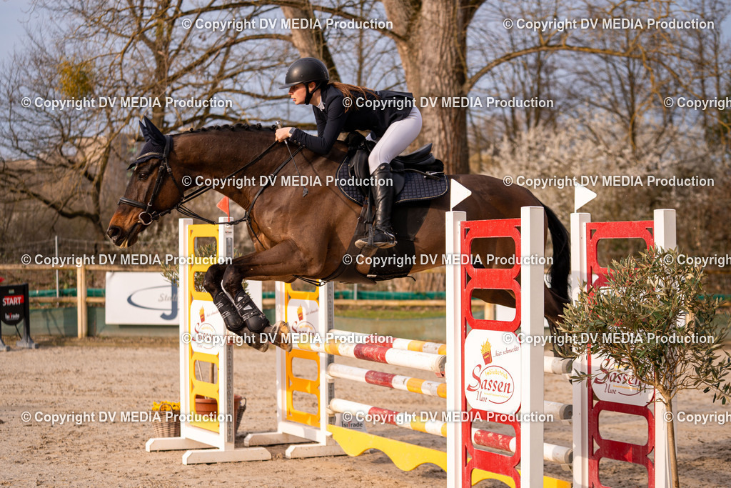 Kranichstein Tag 2-1449 | dv-media-shop - Realisiert mit Pictrs.com