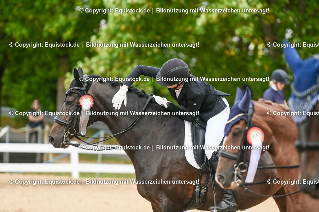 20230716_01_Dressurprüfung Kl.M_0682 | equistock