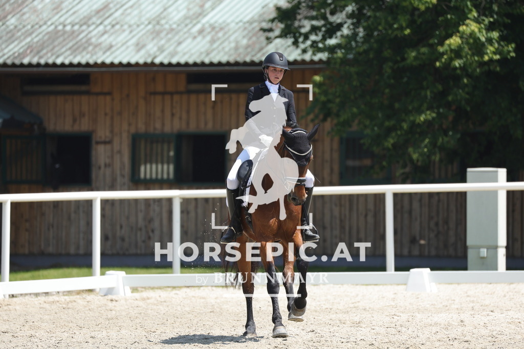 0P6A1655 | Willkommen bei Brunnmayr - Design & Fotografie – Ihrem Spezialisten für Reitturniere und Pferdeveranstaltungen in Oberösterreich, Salzburg und Bayern! Seit über 17 Jahren sind wir leidenschaftlich dabei.