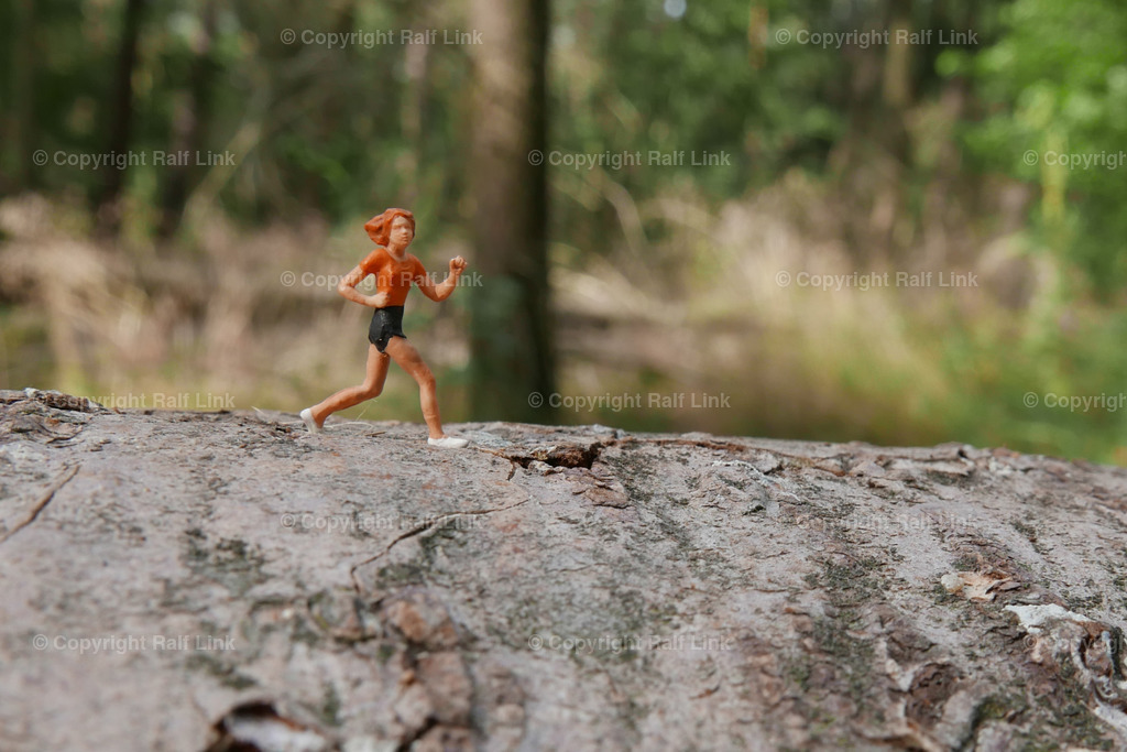 Waldlauf | Stockfotos, Fotos mit Miniaturfiguren und kreativen Ideen. Dabei auch vieles aus der Metropolregion Rhein-Neckar. 