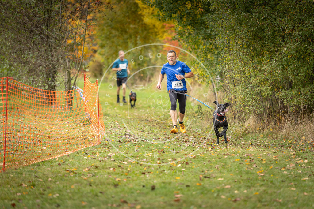 Pfotenfotografie_DV3A3947 | Hundefotografie, Tierfotograf, Pfotenfotografie, Fotoshooting Hund, Hunde Portrait, Hundesport, Hundeportraits, Heideshooting, Hunde, Sportfotograf, Hundefotograf, Turnierhundsport, THS,  - Realisiert mit Pictrs.com