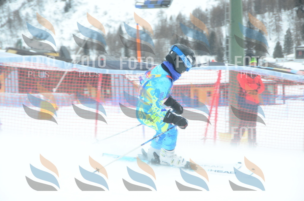 DSC_1384 | holidayphoto