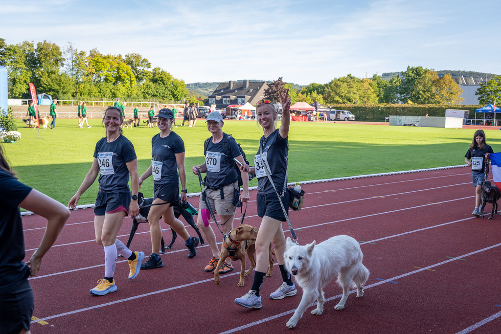 Pfotenfotografie_DV3A4249-2 | Hundefotografie, Tierfotograf, Pfotenfotografie, Fotoshooting Hund, Hunde Portrait, Hundesport, Hundeportraits, Heideshooting, Hunde, Sportfotograf, Hundefotograf, Turnierhundsport, THS,  - Realisiert mit Pictrs.com