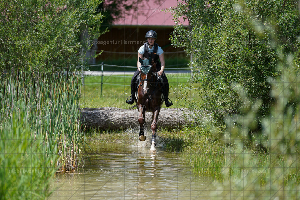 20240622-FAH07126 | Turnierfotografen Bayern, Reitsportbilder aus dem Geländekurs mit Felix Etzel auf dem Gut Waitzacker 2024