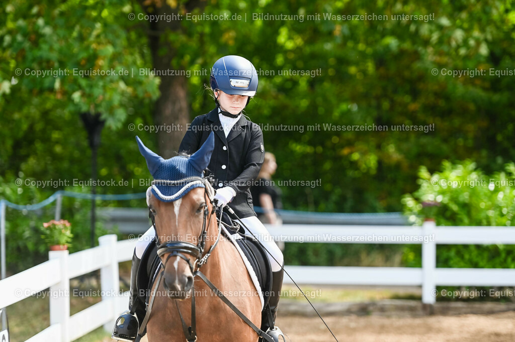 20230716_10-3_Reiter-WB Schritt - Trab - Galopp_0048 | equistock