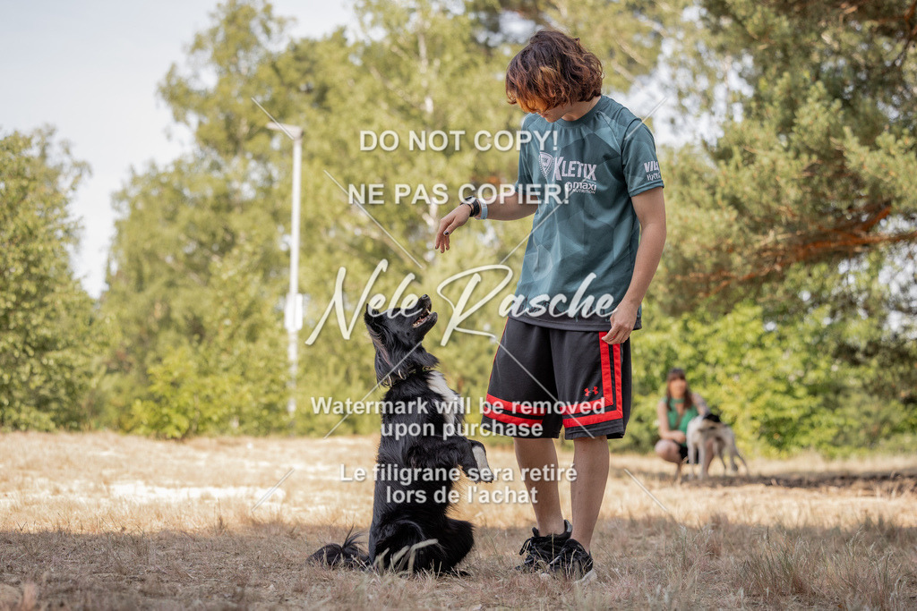 nelerasche_soDD2_343 | nelerasche