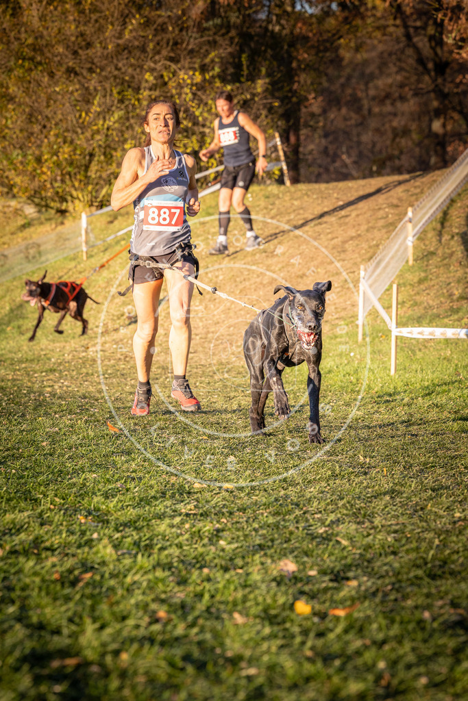 CaniXpix_0L8A1224 | Hundefotografie, Tierfotograf, Pfotenfotografie, Fotoshooting Hund, Hunde Portrait, Hundesport, Hundeportraits, Heideshooting, Hunde, Sportfotograf, Hundefotograf, Turnierhundsport, THS,  - Realisiert mit Pictrs.com