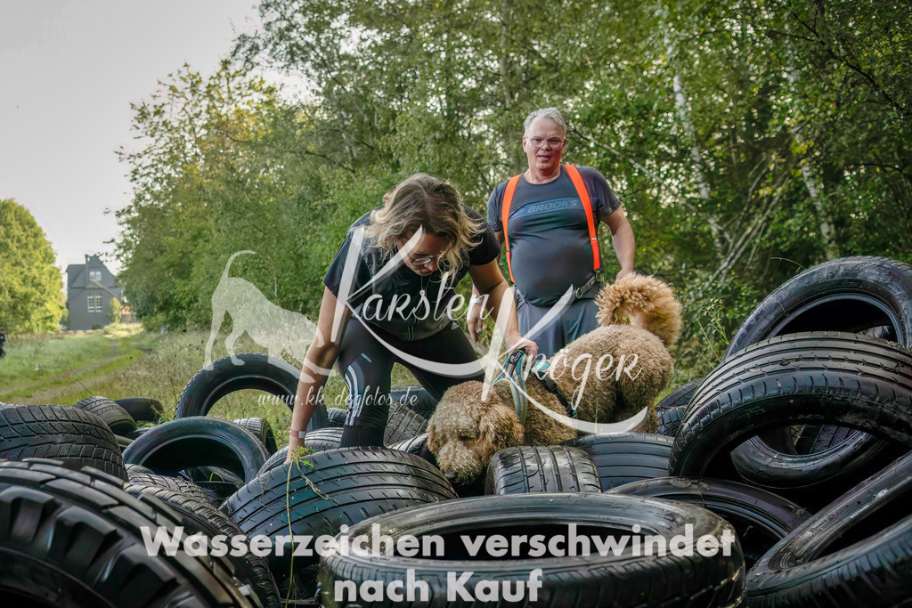 1018_ZZ94290-Bearbeitet | kk-dogfotos