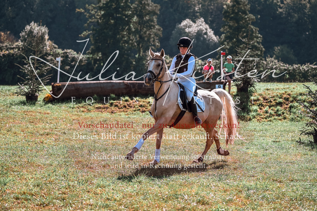 DSC_1110 | Pferde- und Turnierfotografie in Westsachsen. Pferdeportraits, Auftragszeichnungen und intuitive Kunst.
