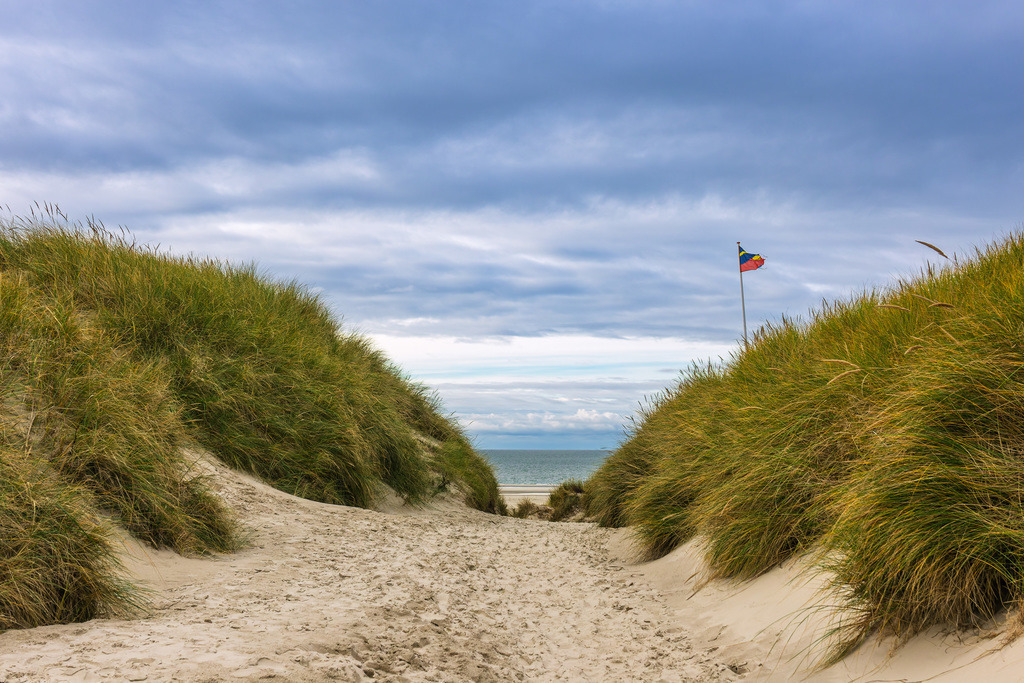 Landschaft mit Dünen auf der Nordseeinsel Amrum | Landschaft mit Dünen auf der Nordseeinsel Amrum.