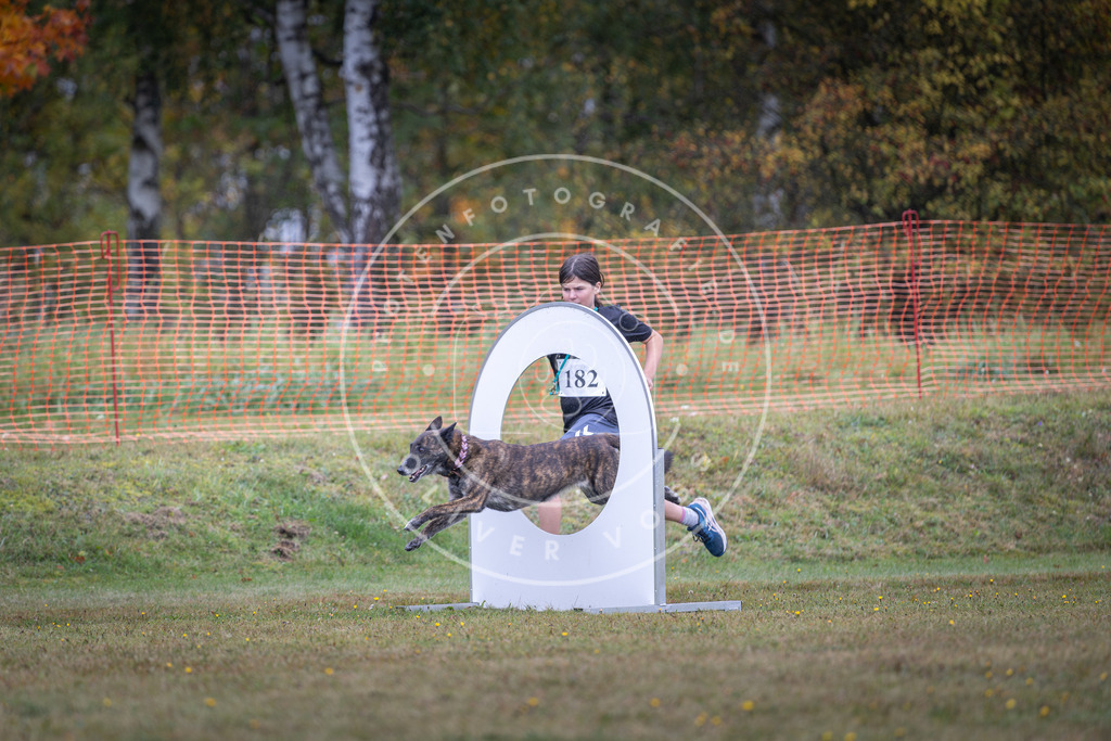Pfotenfotografie_DV3A0342 | Hundefotografie, Tierfotograf, Pfotenfotografie, Fotoshooting Hund, Hunde Portrait, Hundesport, Hundeportraits, Heideshooting, Hunde, Sportfotograf, Hundefotograf, Turnierhundsport, THS,  - Realisiert mit Pictrs.com