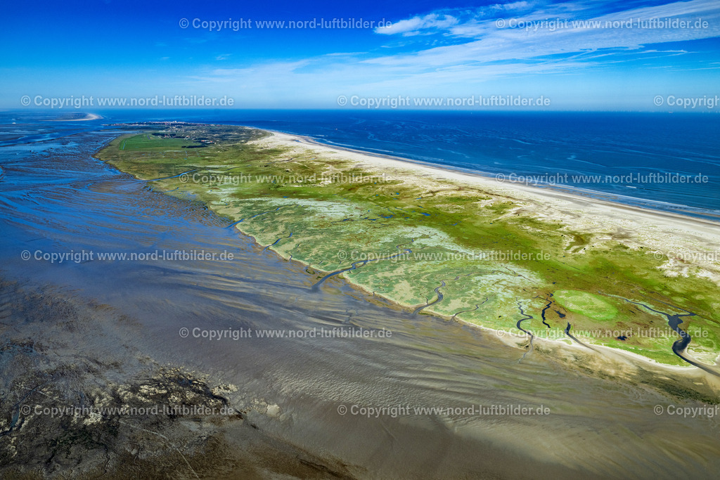 Norderney_Seegraswiesen_ELS_6746050923 | NORDERNEY 05.09.2023 Grasflächen- Strukturen einer Salzwiesen- Landschaft auf der Südseite der Insel Norderney im Bundesland Niedersachsen, Deutschland. // Grassland structures of a salt marsh landscape on the south side of the island of Norderney in the state of Lower Saxony, Germanyy. Foto: Martin Elsen