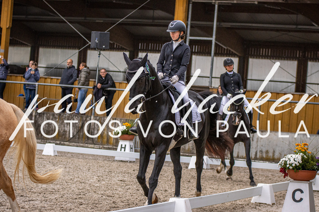 IMG_2663 | Erleben Sie dynamische Sport- und emotionale Tierfotografie in Süddeutschland mit Fotos von Paula. Spezialisiert auf Pferde- und Hundefotografie sowie Sportevents. Kontaktieren Sie mich für einzigartige und ausdrucksstarke Bilder Ihrer besonderen Momente. - Realisiert mit Pictrs.com