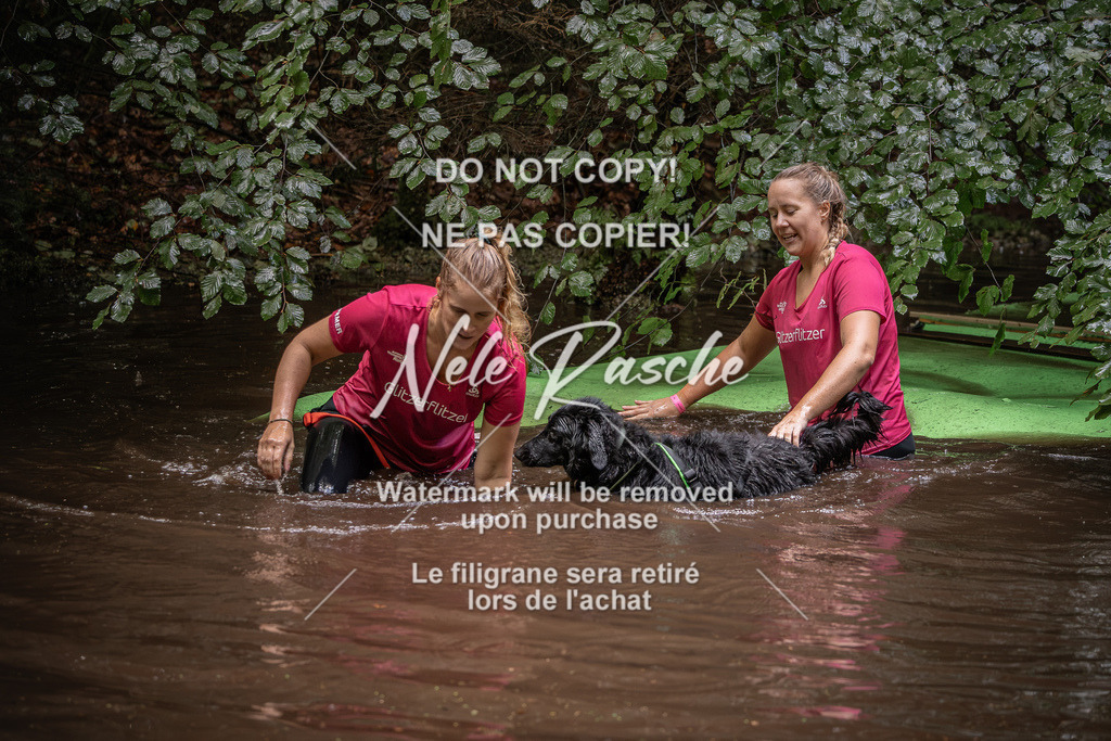 nelerasche_Wingst_Sa1330-1400_194 | nelerasche
