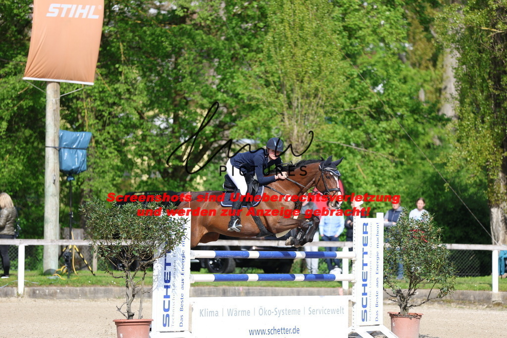 A40A2590 | lmwpictures - Realisiert mit Pictrs.com