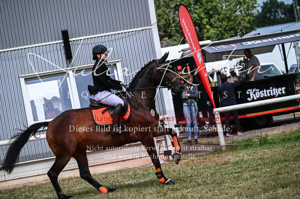 DSC_8278 | Pferde- und Turnierfotografie in Westsachsen. Pferdeportraits, Auftragszeichnungen und intuitive Kunst.