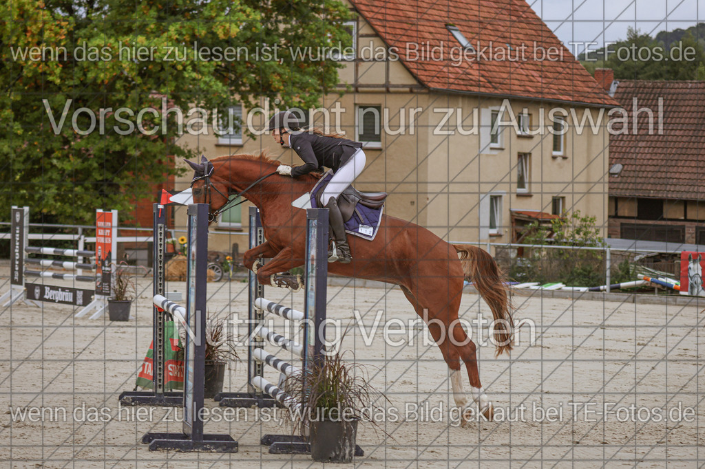 2025-09-22_09-38-39_MG_4064 | TE-Fotos