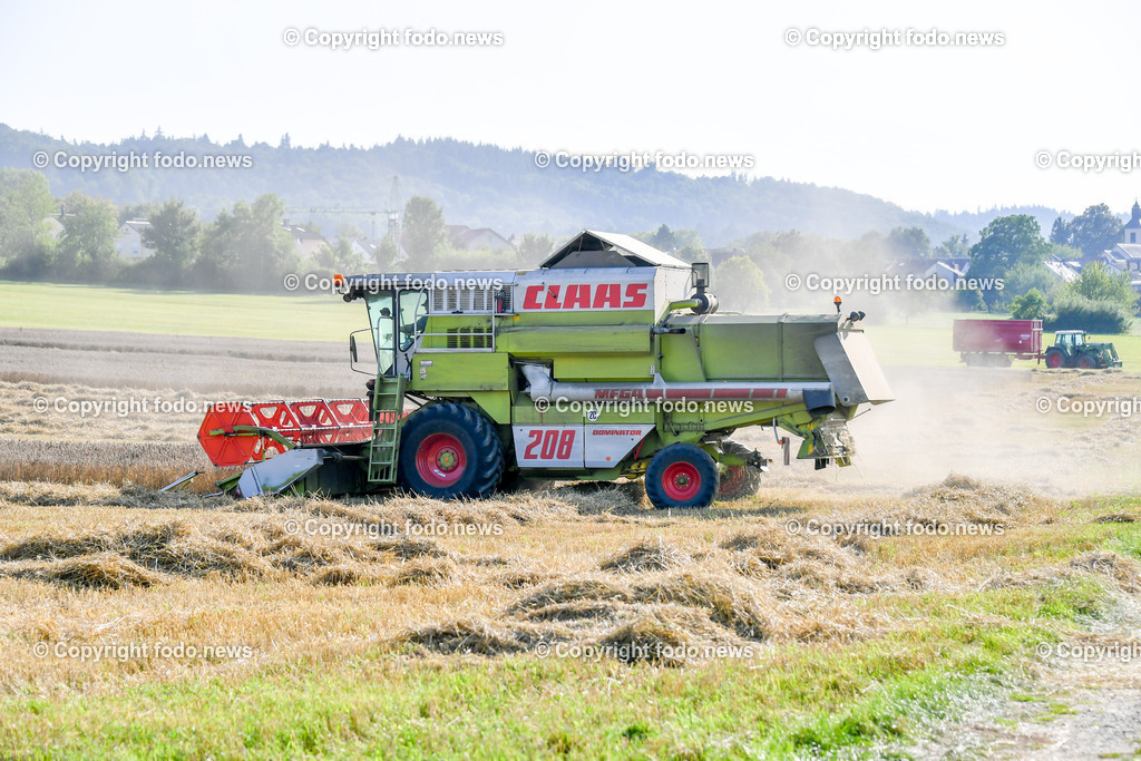 Deutschland_ Baden-Wuerttemberg_ Ebersbach an der Fils_ 14.08.2025-2 | 14.08.2025, Deutschland, GER, Baden-Wuerttemberg, Ebersbach an der Fils, im Bild Themenbild, Maehdrescher, Ernte, Getreide, Landwirtschaft, Feldarbeit, Dreschen, Erntemaschine, Ackerbau, Stroh, Halm, Korn, Agrartechnik, Sommer, Staub, Schneidwerk, Landwirt, Bauer, Ertrag, Erntezeit, Großmaschine, Feld, Landwirtschaftsbetrieb, Maschinenkraft, Feature, Symbolbild