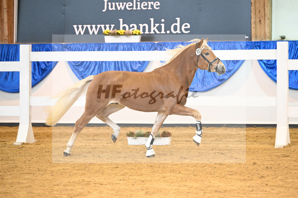 Kat-Nr. 18 Alois v. Amari_Reisberger_60220282 | hf-fotografie - Realisiert mit Pictrs.com