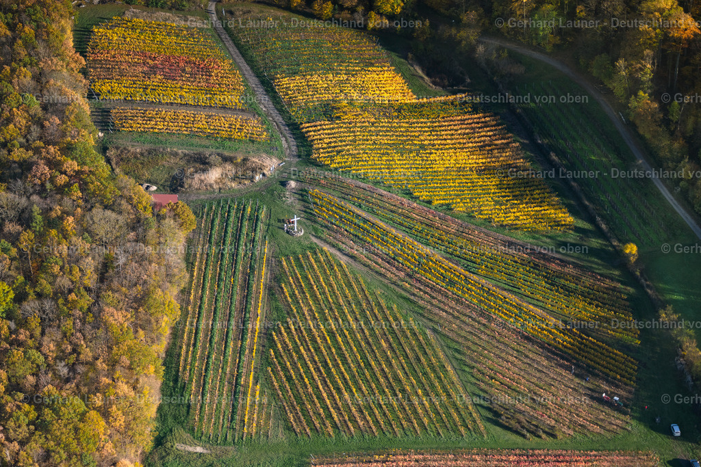 4042664 | Kirchschönbacher Mariengarten, Weinlage Mariengarten
