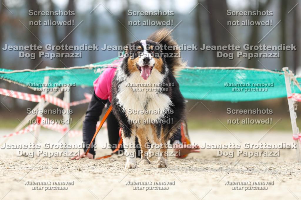 Dog Paparazzi - Strongdog North Mrz26-5436 | Dog Paparazzi Jeanette Grottendiek Fotografie & Videografie - Realisiert mit Pictrs.com