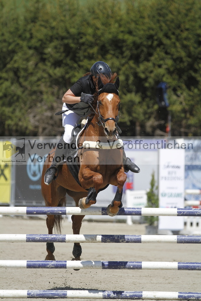 _MG_6570 | equestrian-live-com