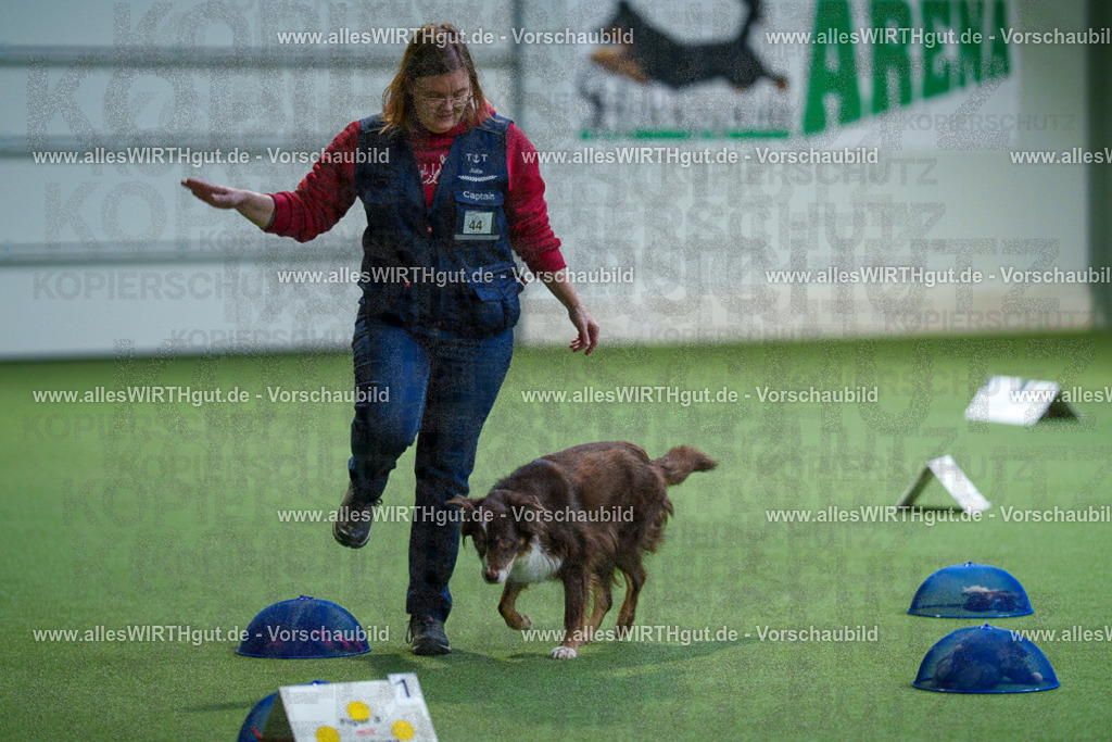 7R506105 | Professionelle Tierfotografie in Mönchengladbach von Daniel Wirth (allesWIRTHgut). Liebevolle & natürliche Bilder von Hunden & Katzen für unvergessliche Erinnerungen.