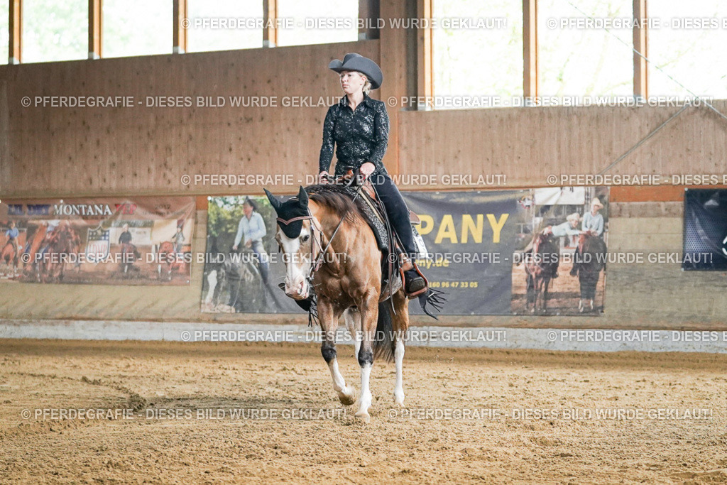 DSC05576 | Pferdegrafie