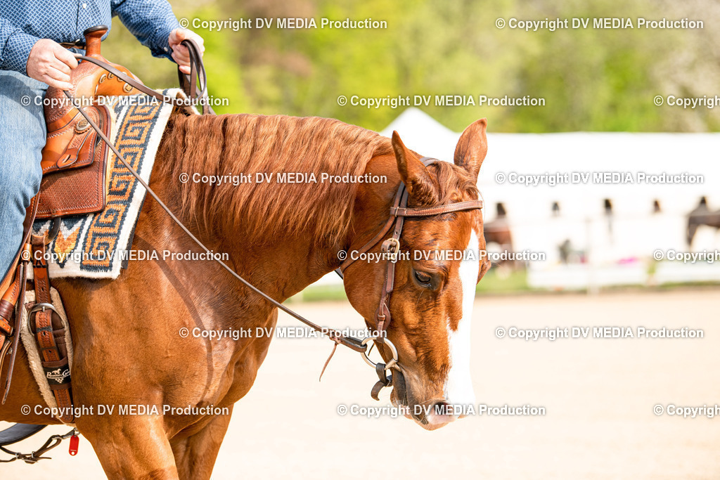Heiligenwald Tag 3-420 | dv-media-shop - Realisiert mit Pictrs.com