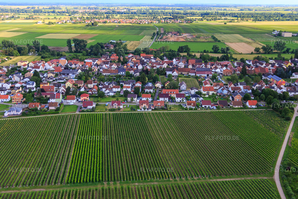 Luftbild: Achtzehnmorgenpfad aus Norden im Ortsteil Duttweiler in Neustadt im Bundesland Rheinland-Pfalz in Deutschland. Foto: IMG_090091.jpg vom 26.06.2016 durch Werner Riehm/FLY-FOTO.de