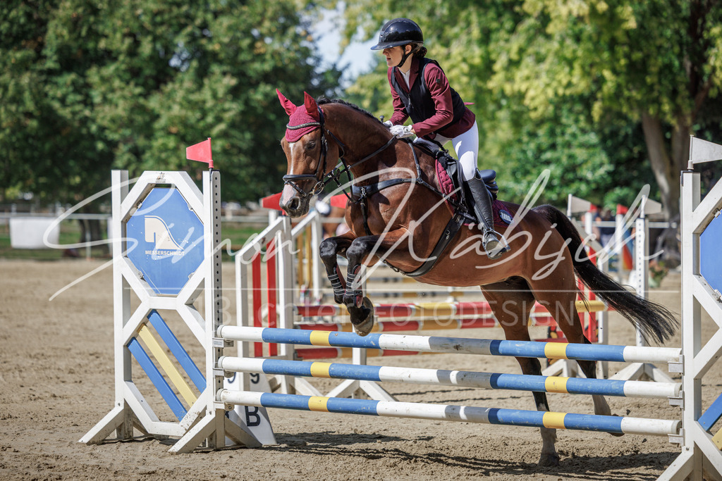 20260905-_3LI8747 | Tierfotografie Pferde, Hunde, Katzen, Haustiere.
Turnierfotografie Reitturniere, Reiten, Springreiten, Dressur in Hanau, dem Main-Kinzig-Kreis und dem Rhein-Main- Gebiet um Frankfurt