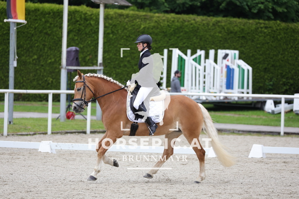 0P6A5242 | Willkommen bei Brunnmayr - Design & Fotografie – Ihrem Spezialisten für Reitturniere und Pferdeveranstaltungen in Oberösterreich, Salzburg und Bayern! Seit über 17 Jahren sind wir leidenschaftlich dabei.