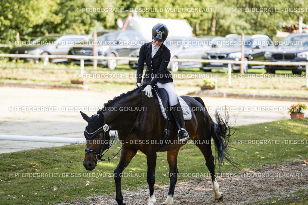 DSC08099 | Pferdegrafie