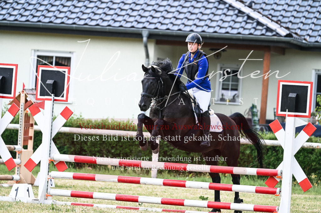 DSC_8965 | Pferde- und Turnierfotografie in Westsachsen. Pferdeportraits, Auftragszeichnungen und intuitive Kunst.