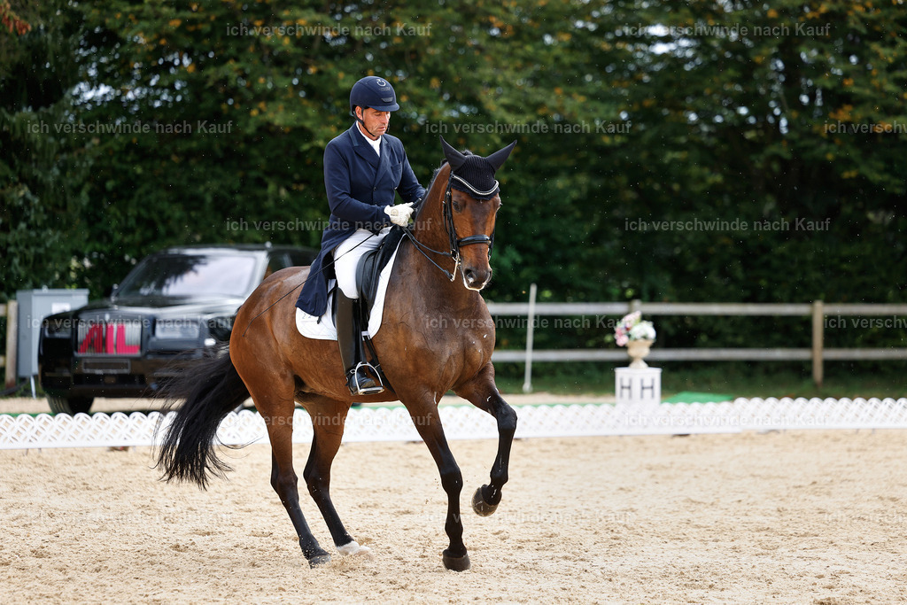11-226-Dressur S___-StoibPH-1023 | working equitationturnier fotograf videograf stoibphotography marixx film working equitation deutschland reitsport turnierfotografie eventfotografie equestrian events
