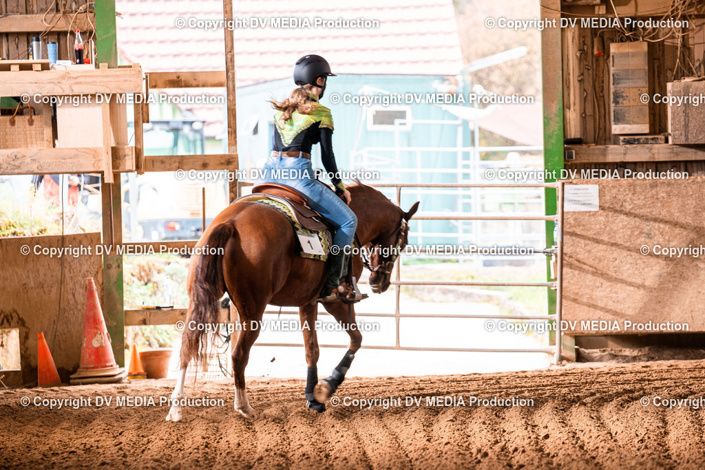 Balingen Tag 2-985 | dv-media-shop - Realisiert mit Pictrs.com