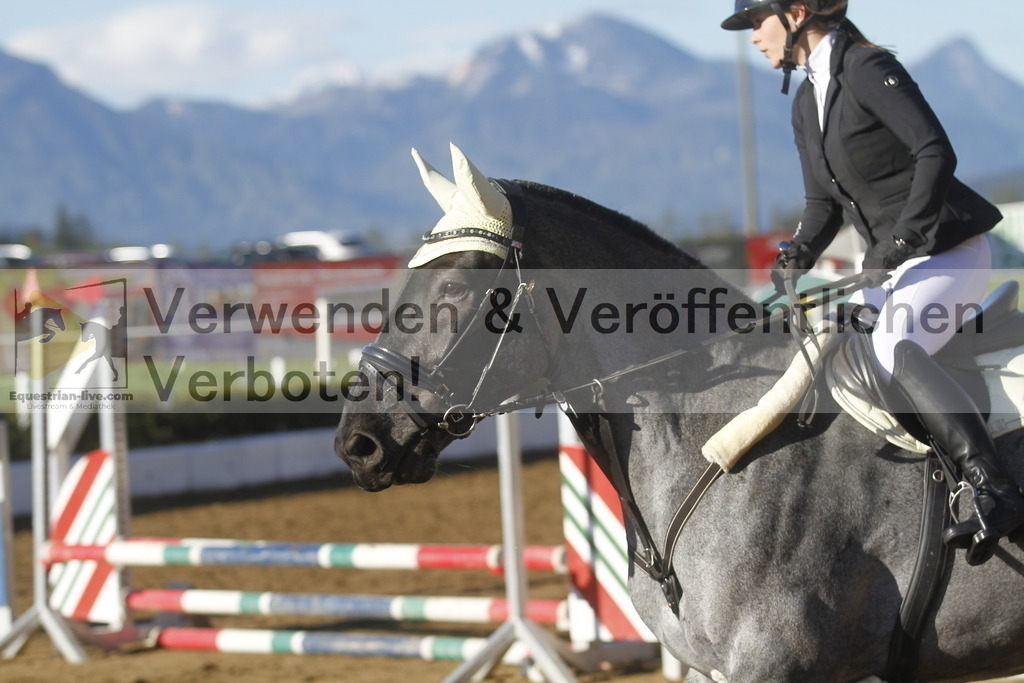_MG_4511 | equestrian-live-com